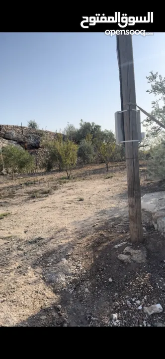 ارض للبيع في بلعا