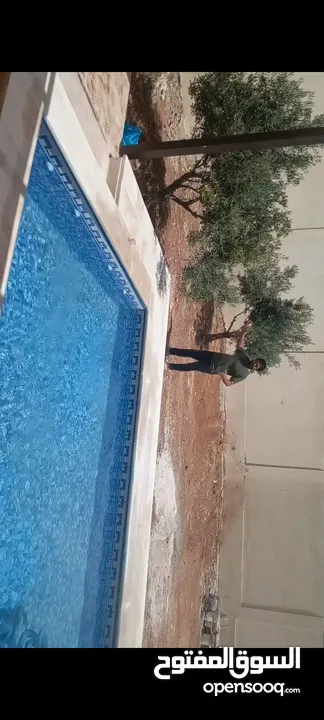 انشاء وبناء مسابح وصيانه المسابح