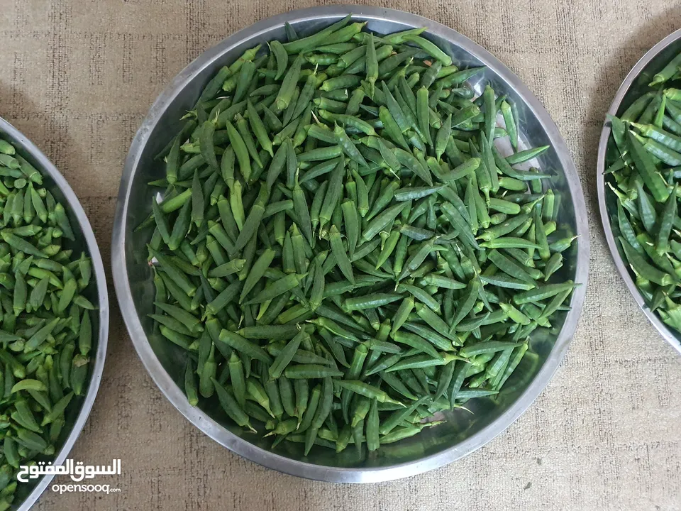 بامية خضراء اربد