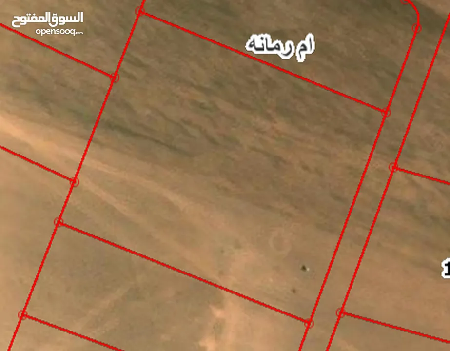 قطعة أرض للبيع بمساحة 1000متر كاش او اقساط بدفعة 3600 دينار ( Property 43132 )-174843291