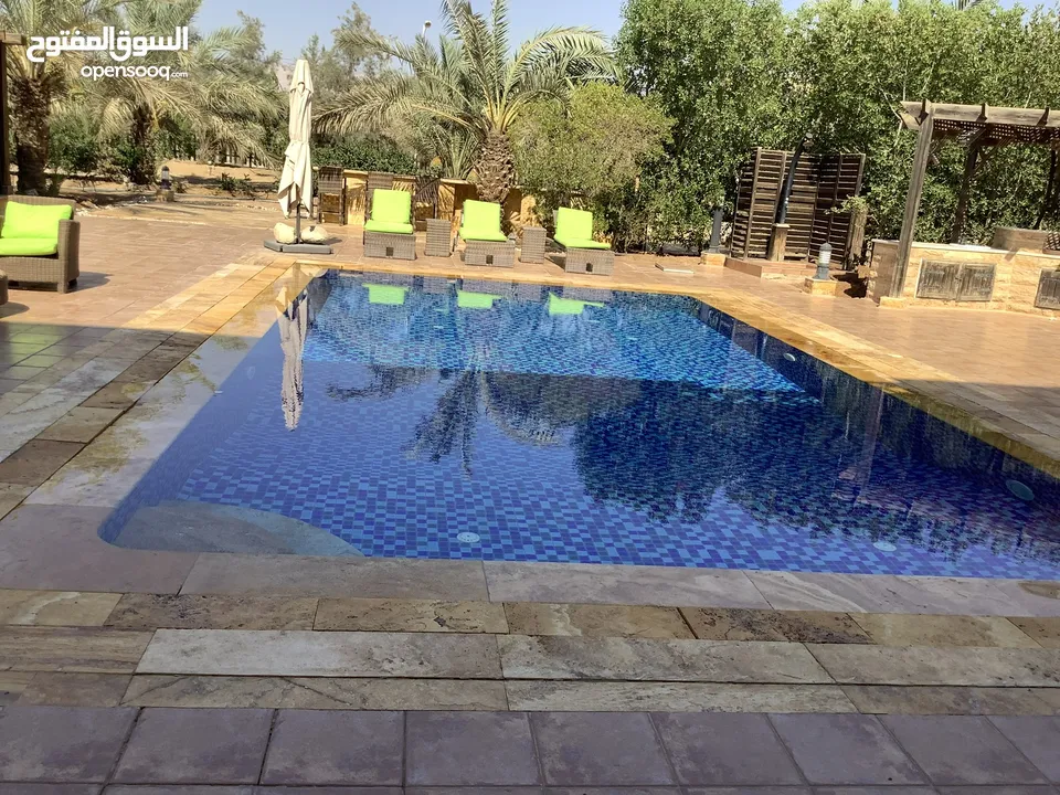مزرعة في البحر الميت/ الشونه الجنوبية / السويمه / حوض جلد مميزة للبيع للجادين فقط