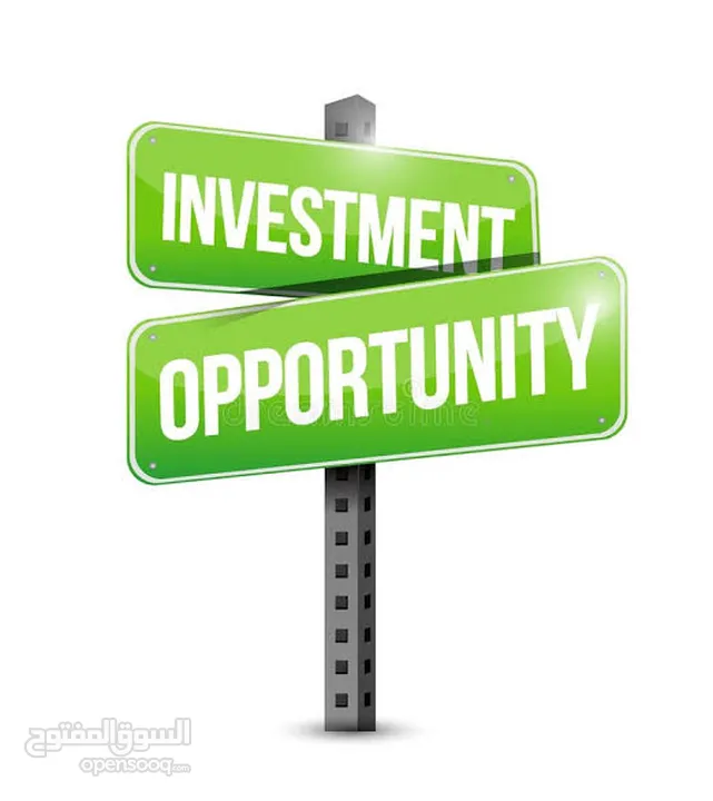 We are looking for a serious investor