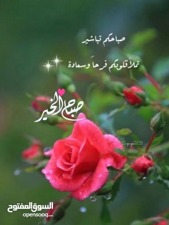 مرحاض عدد 2 ومغسلة  مستعملة