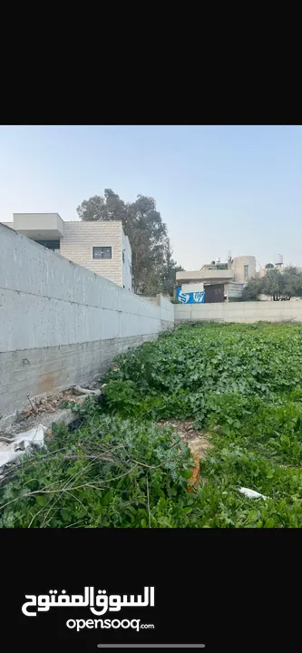 ارض للبيع بسعر ممتاز
