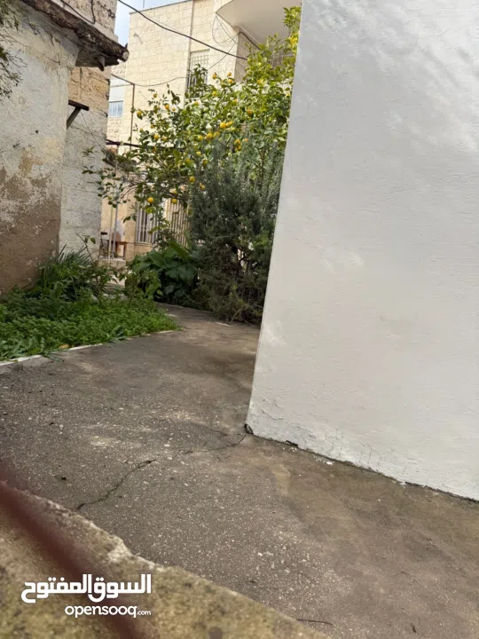 عيس جورج جبرية