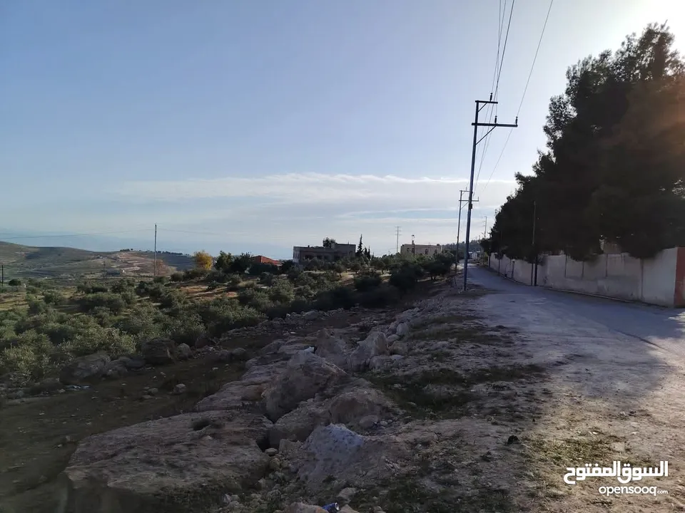 ي بلاش قطع مرتفعة مشجره جاهزه ومخدومه مجاوره للاحراش والغابات منطقة ام بطيمه قرب ترخيص جرش واتستراد