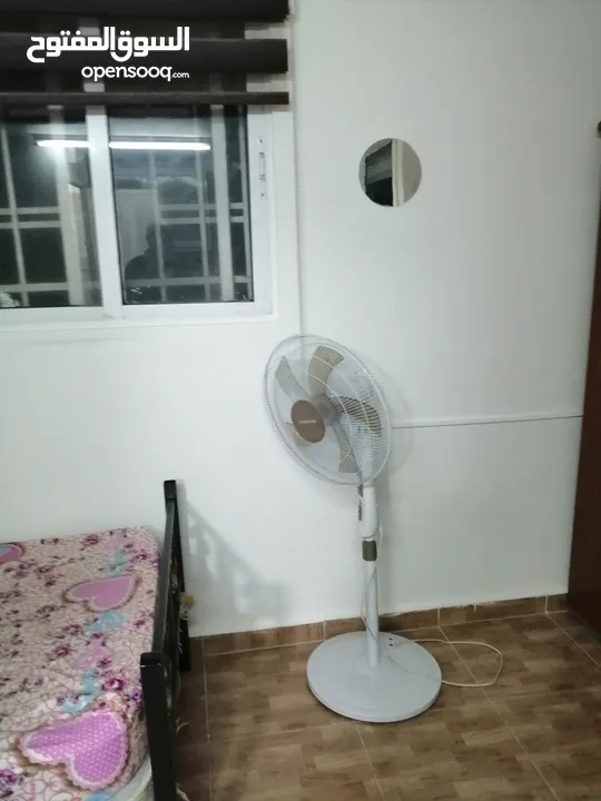 رووف مفروش للايجار