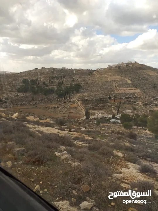 ارض للبيع او البدل كوشان طابو جاهز