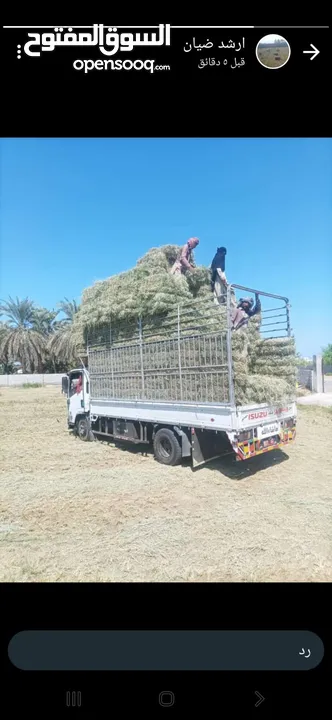 حشيش برايد ربط اربع شبر ونعيم مع توصيل