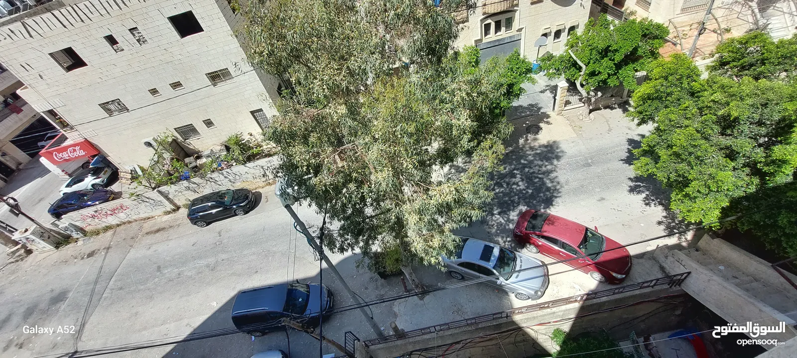 روف يصلح ل2 اخوة عالتقسيط في بيتونيا