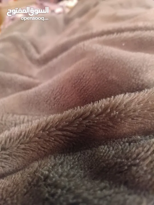 غرفة مفروشة للايجار بيرزيت