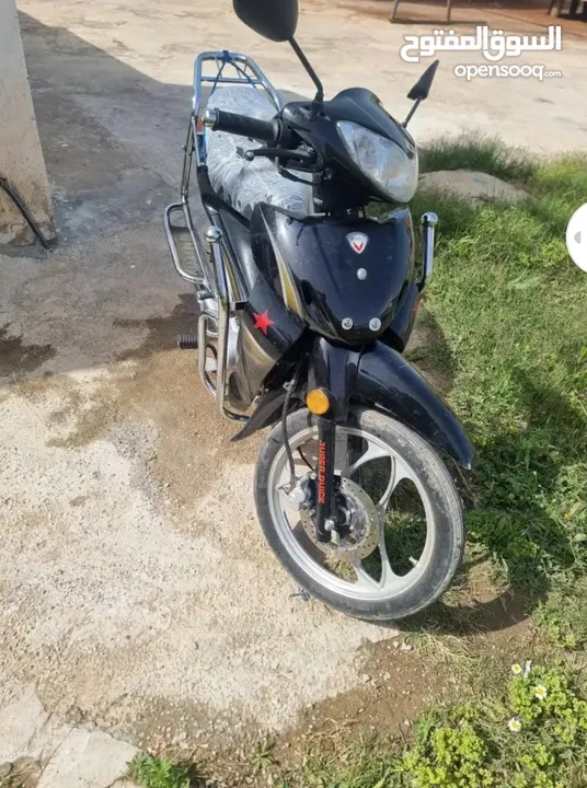 جليق evca 2024