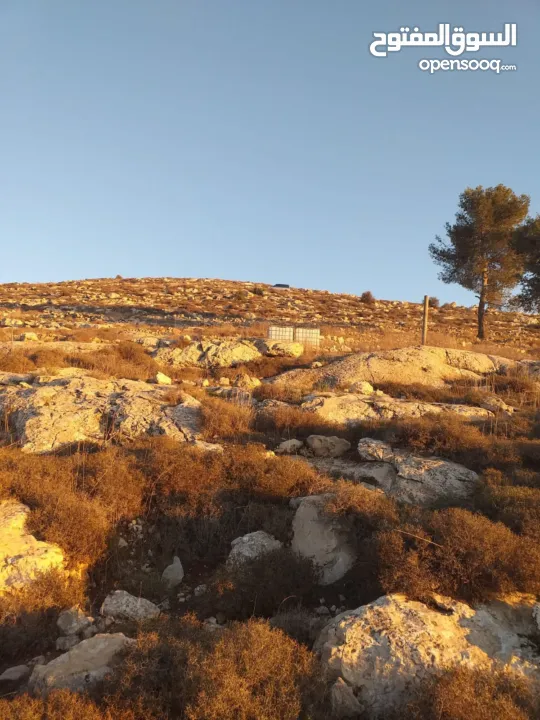 ارض للبيع او البدل كوشان طابو جاهز