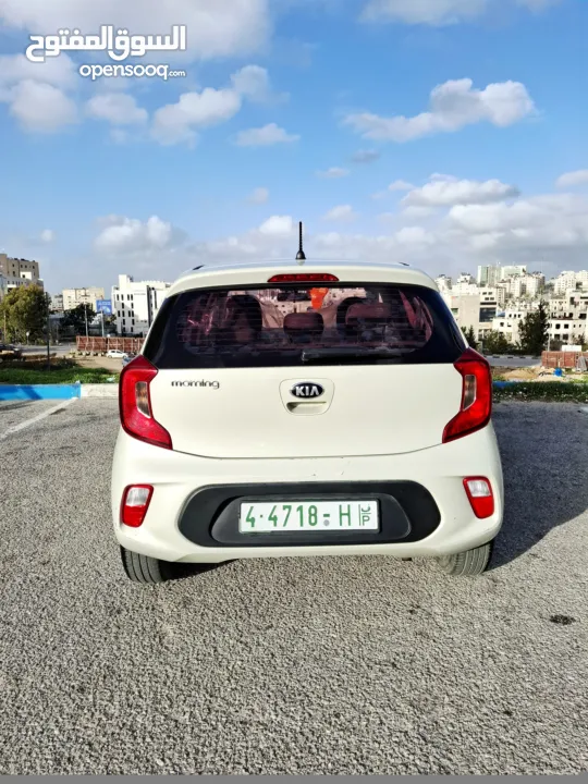 كيا بيكانتو 2019  ولا غرام بويا دهان الشركة