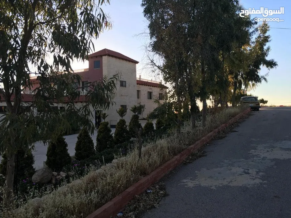 قصر على أعلى نقطة خربة الطوي على 10 دنمات