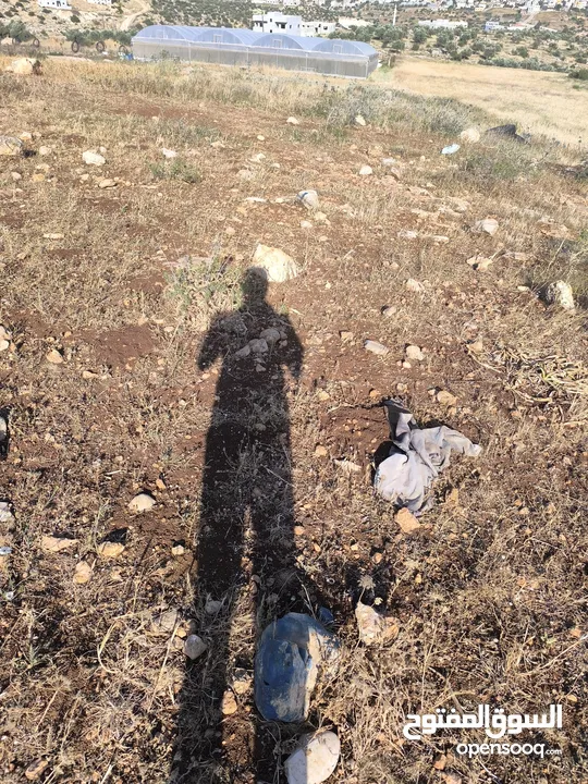 بيع قطعة الأرض في طوباس