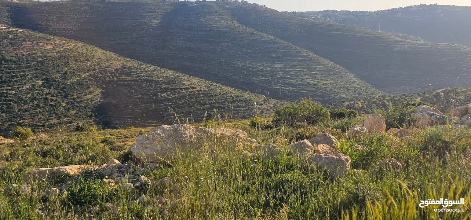 قطعة أرض للبيع من أراضي بلدة سنجل منطقة غرابة، مطلة على الساحل، منطقة A، قوشان طابو سلطة مستقل