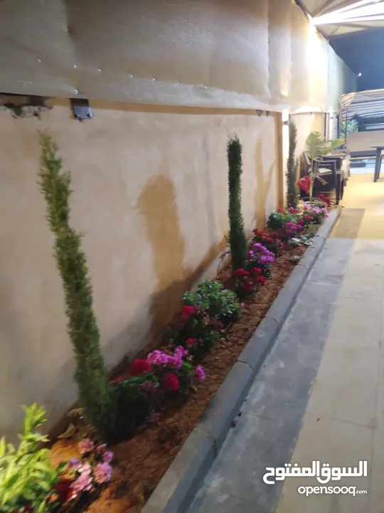 مزرعه للايجار جديده قريبه من عمان مريحه واستثنائيه