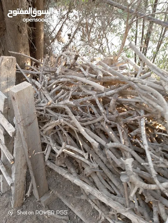 تشكيلة حطب للبيع