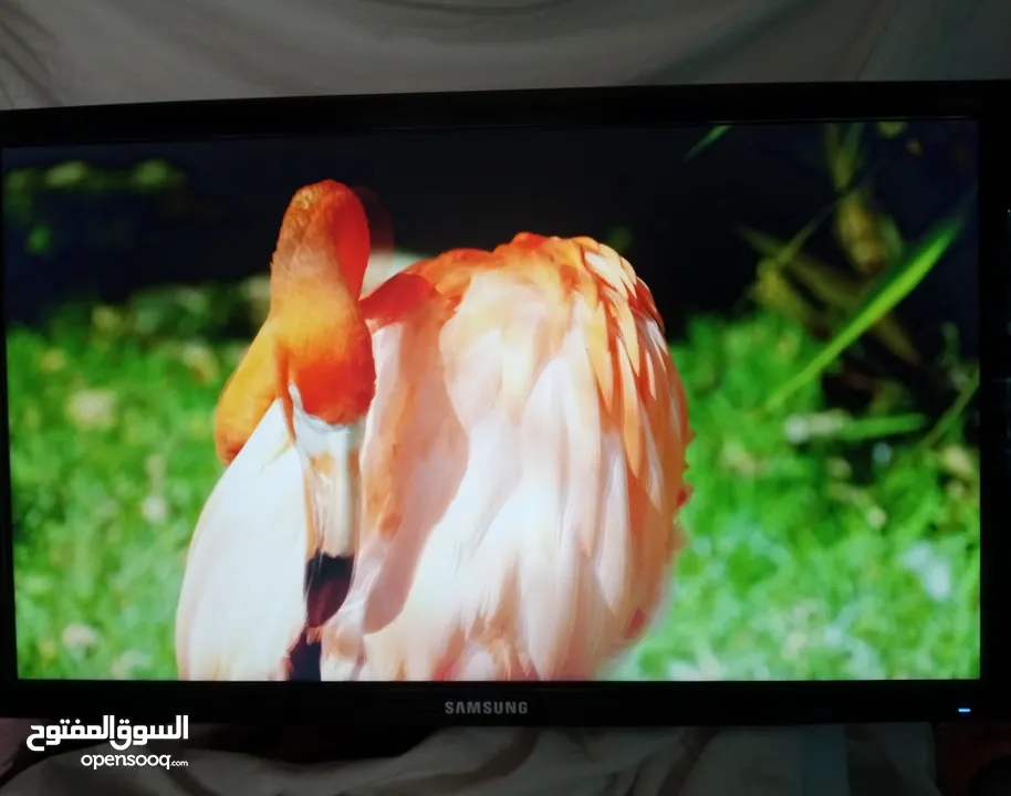 شاشة Samsung للبيع المواصفات بالوصف