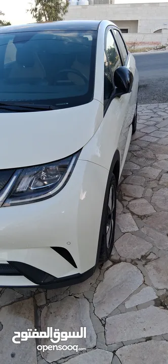 BYD 2023 دولفين