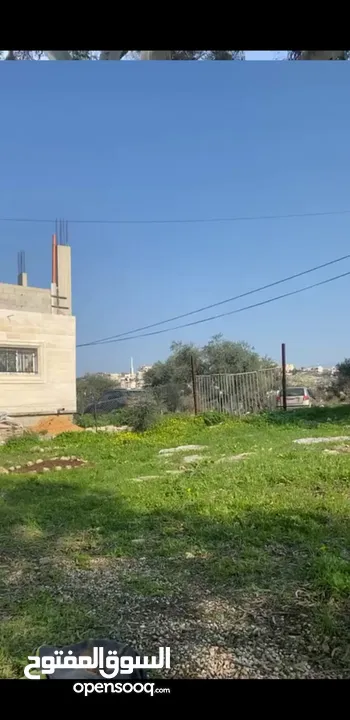 قطعة أرض نص دونم نار موقع قريب من المدينة مطلة على شارع فرعون واصلها جميع الخدمات (ليست فرعون البلد)