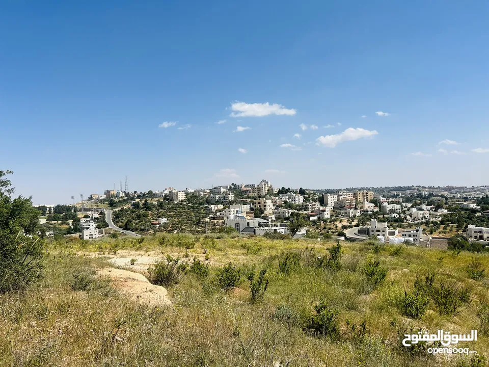 سوادة الجنوبي دونم 1000 م