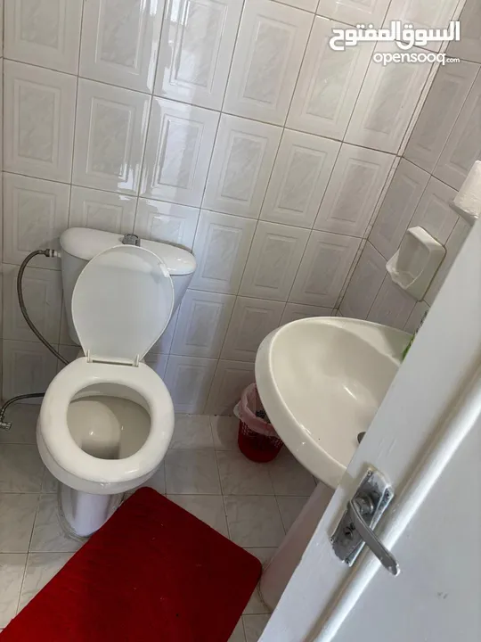 Furnished Apartment to Rent  ( Property 41440 )-174804751