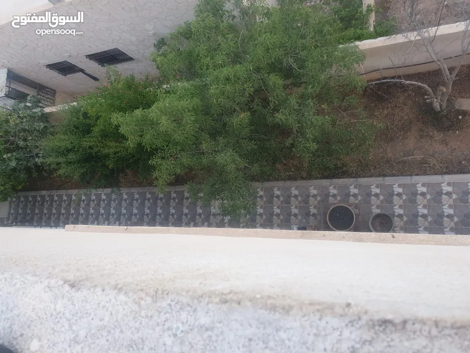 بيت مستقل دوبلكس للبيع الزرقاء ضاحية المدينة المنورة