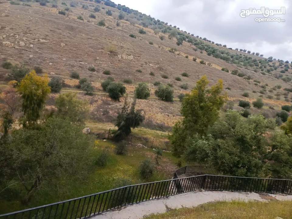 مزرعه مع 2 بيت ريفي مخدومه ماء وكهرباء مساحتها 4712