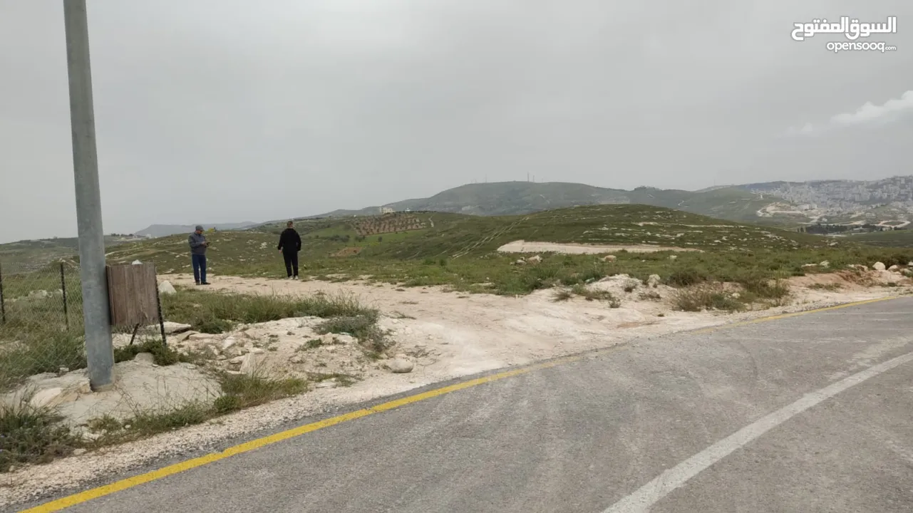 قطعة ارض مربعة الشكل في زواتا