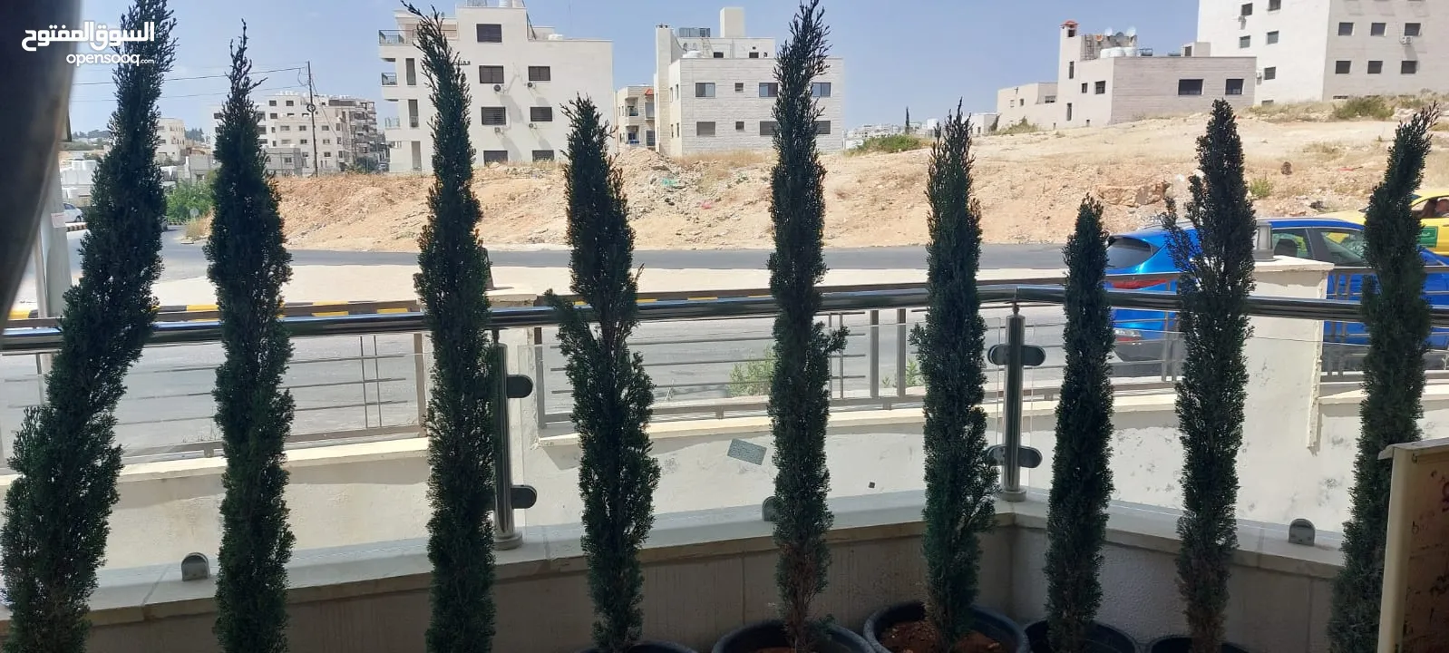 شجار طبيعي