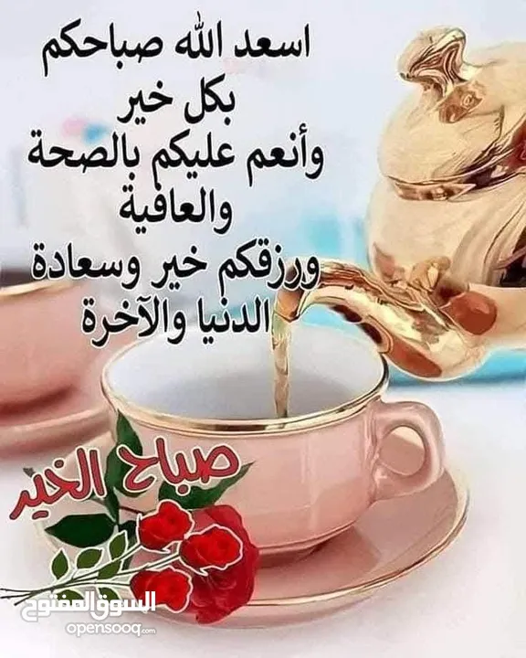 ديوك دجاج بلدي