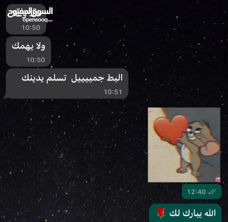 كتاكيت بط (( متجر الكتكوت الصغير ))