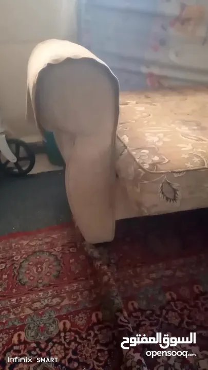 سجلونات عدد 2 حجم كبير