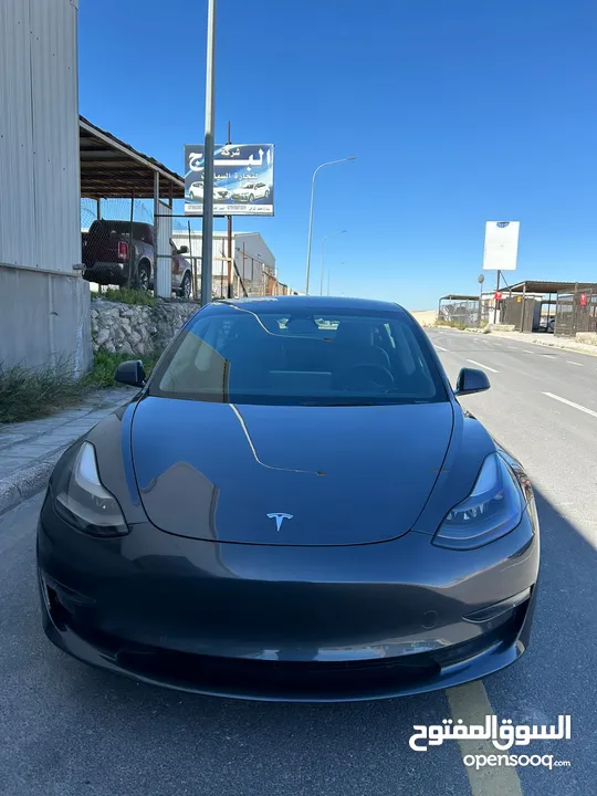 تيسلا 2023 ستاندر بلس Tesla