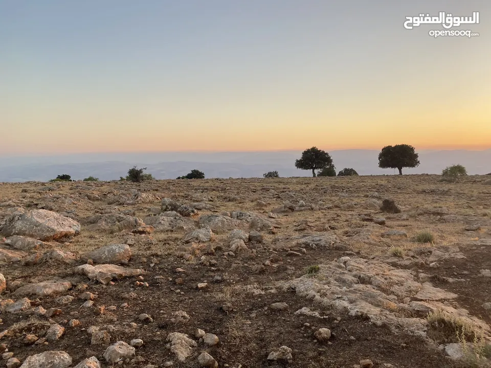قطعه ارض مميزه بإطلاله بانوراما فلسطين