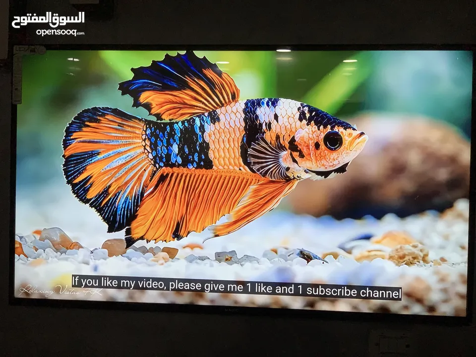 شاشة ماجيك  ضد الكسر55    اخر اصدار android14 ‏ smart TV،،،،،،،،،،،،،،،،،،،،،،،،،،،،،،،،،،،،،،،،،،،،