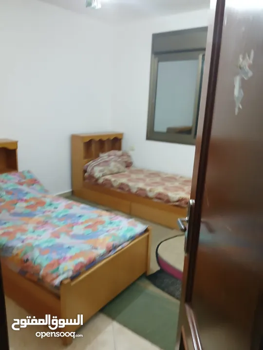 شقة مفروشة للايجار