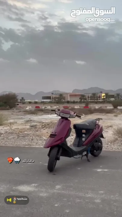 للبيع بجاج 100cc