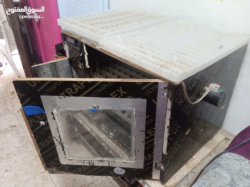 فقاسه بيض دجاج وفري