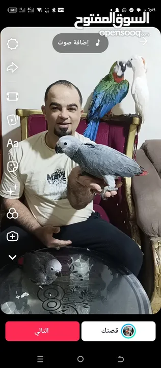اجمل تشكيلة ببغاوات اليفه ومتكلمه