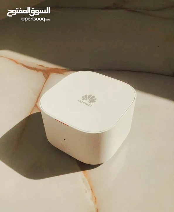 WiFi mesh huawei