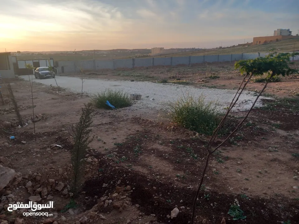 فرصة  للاستثمار في أرض بموقع مميزة في المفرق –متعدد الاستخدام- طريق رحاب - التحويلة حوض الوسية