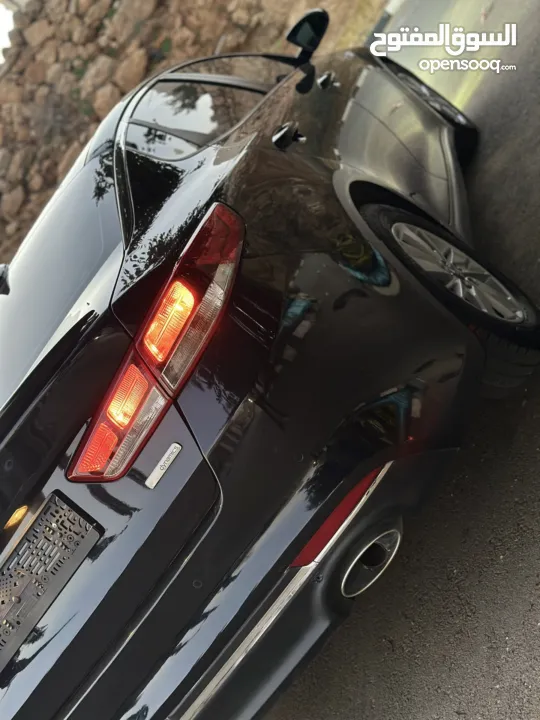 احمد سامي سليط