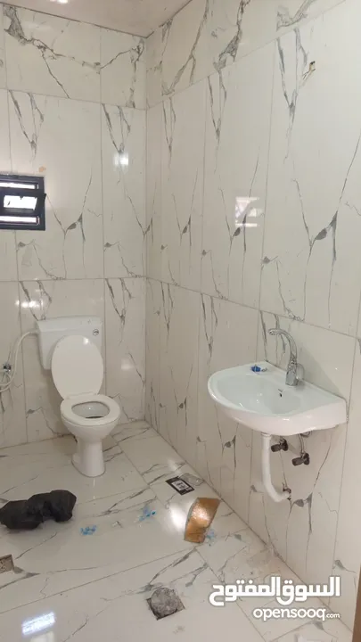 محمد الصبيحي