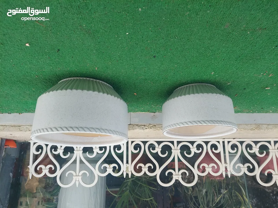 قواوير زراعية بسعر الجمله