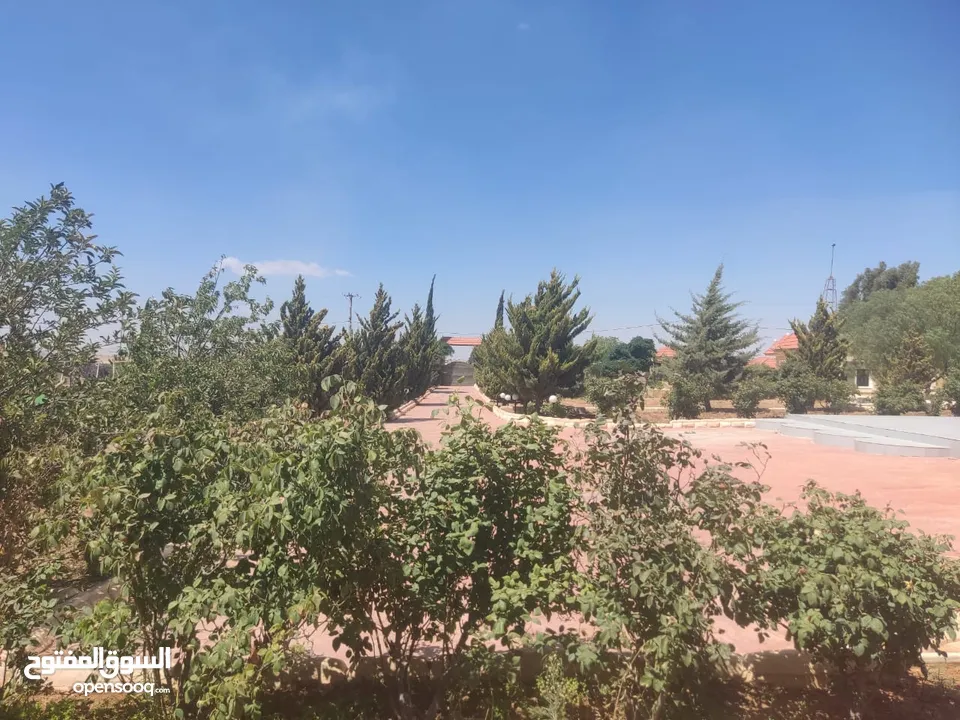 مادبا حواره مزرعه للبيع