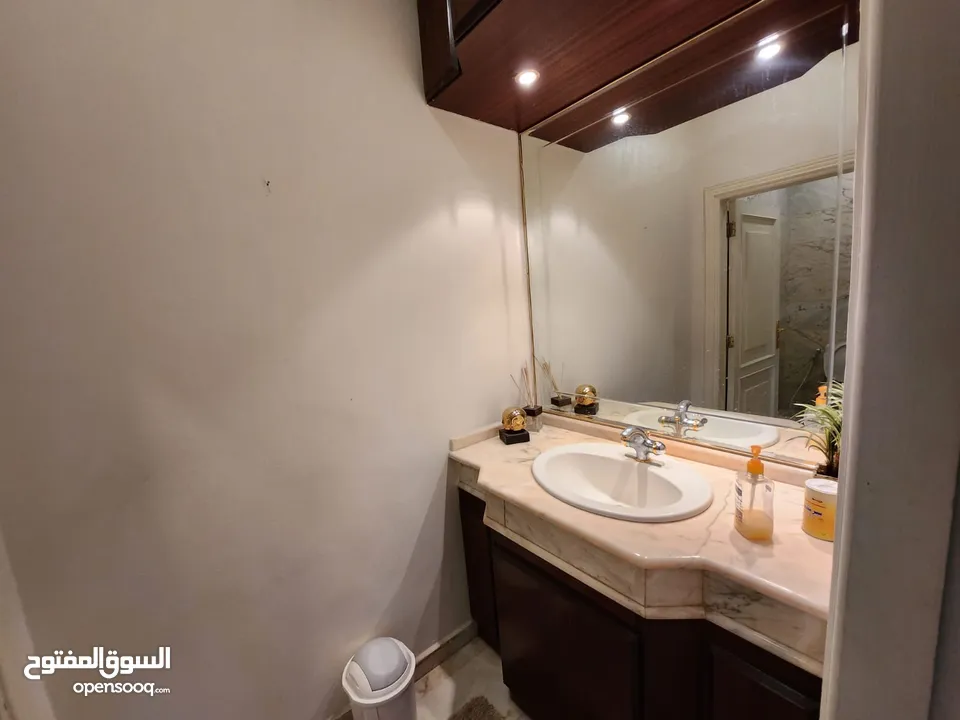 Furnished Apartment to Rent 480sqm ( Property 19085 )-174585151