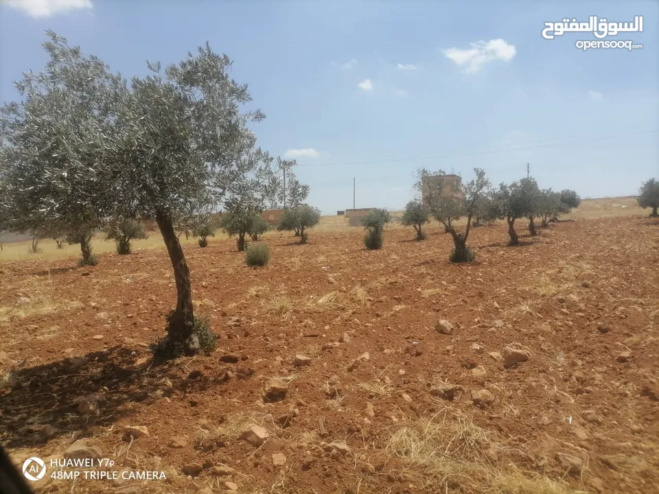 3400م للبيع واصل خدمات منطقه رحاب بني حسن بالقرب من طريق اربد الزرقاء الرئيسي من المالك مباشره